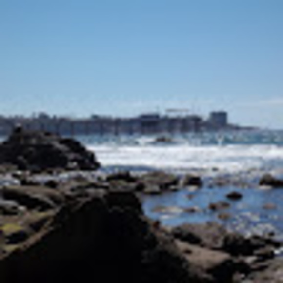 Meet your Posher, Steven - Picture 1 of 1